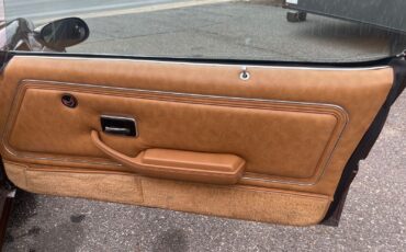 Pontiac-Special-Edition-1979-Brown-Saddle-Leather-36254-33