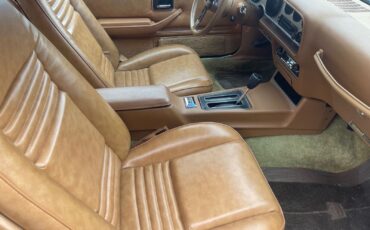 Pontiac-Special-Edition-1979-Brown-Saddle-Leather-36254-34