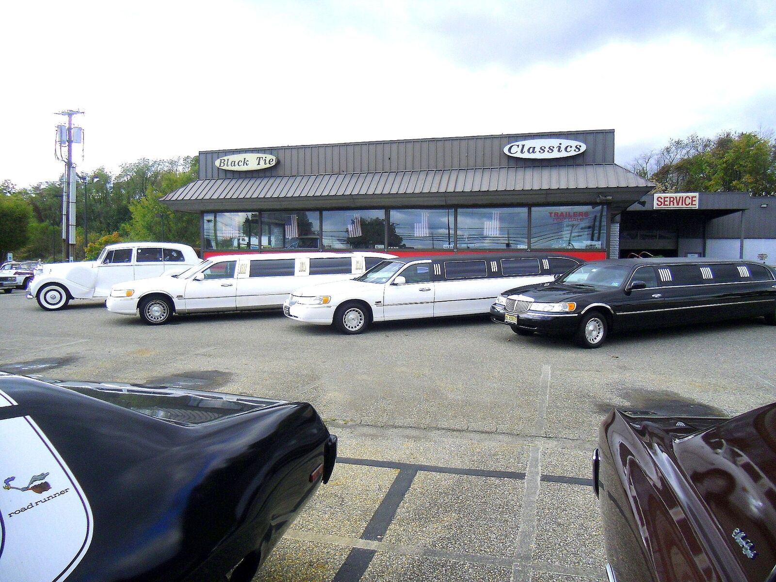 Pontiac-Special-Edition-1979-Brown-Saddle-Leather-36254-35