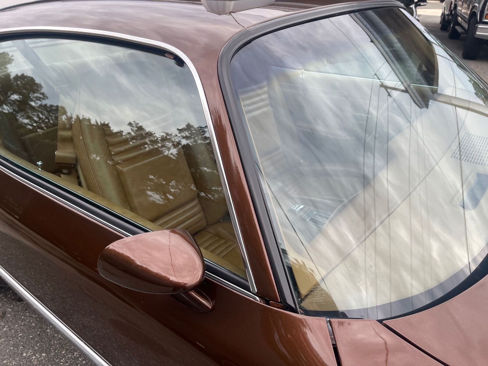 Pontiac-Special-Edition-1979-Brown-Saddle-Leather-36254-4