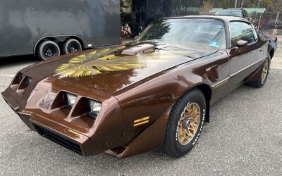 Pontiac Special Edition  1979 à vendre