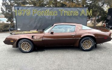 Pontiac-Special-Edition-1979-Brown-Saddle-Leather-36254-5