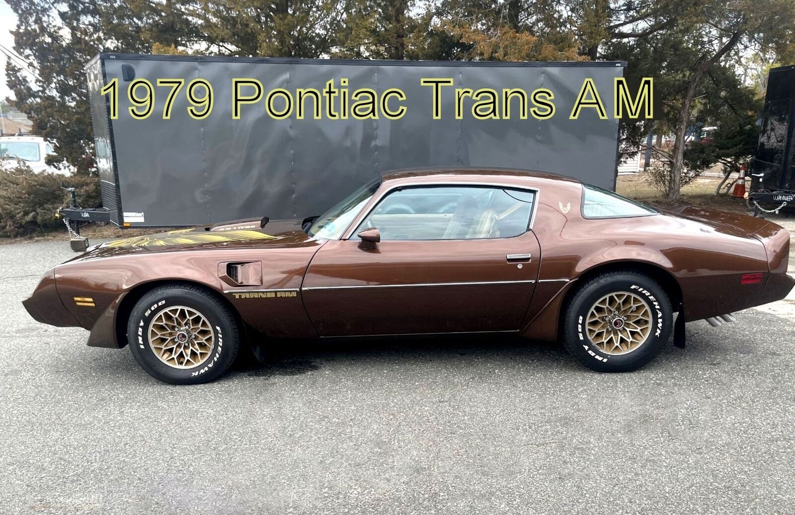 Pontiac-Special-Edition-1979-Brown-Saddle-Leather-36254-5