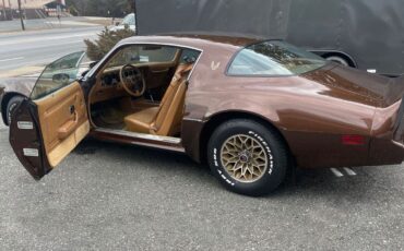 Pontiac-Special-Edition-1979-Brown-Saddle-Leather-36254-6