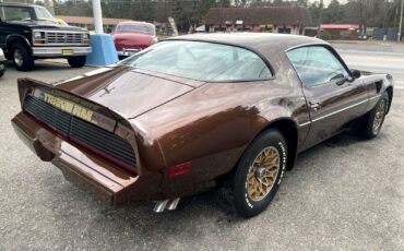 Pontiac-Special-Edition-1979-Brown-Saddle-Leather-36254-7