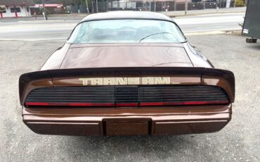 Pontiac-Special-Edition-1979-Brown-Saddle-Leather-36254-8