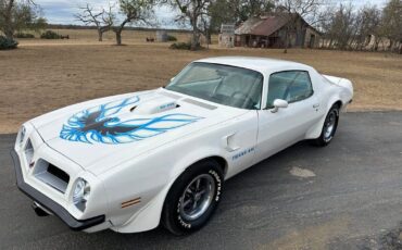 Pontiac-Trans-Am-1974-White-White-70008-1