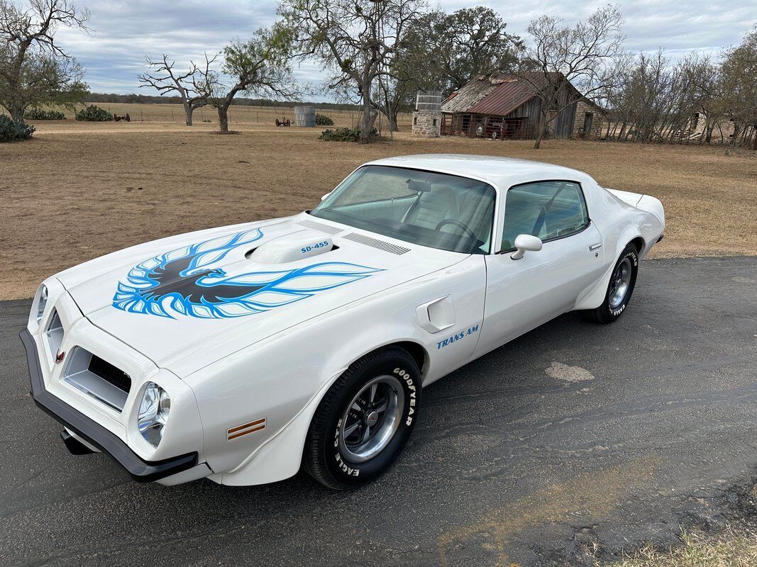 Pontiac-Trans-Am-1974-White-White-70008-1