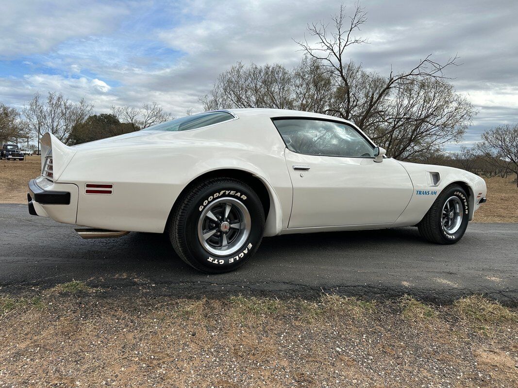 Pontiac-Trans-Am-1974-White-White-70008-9