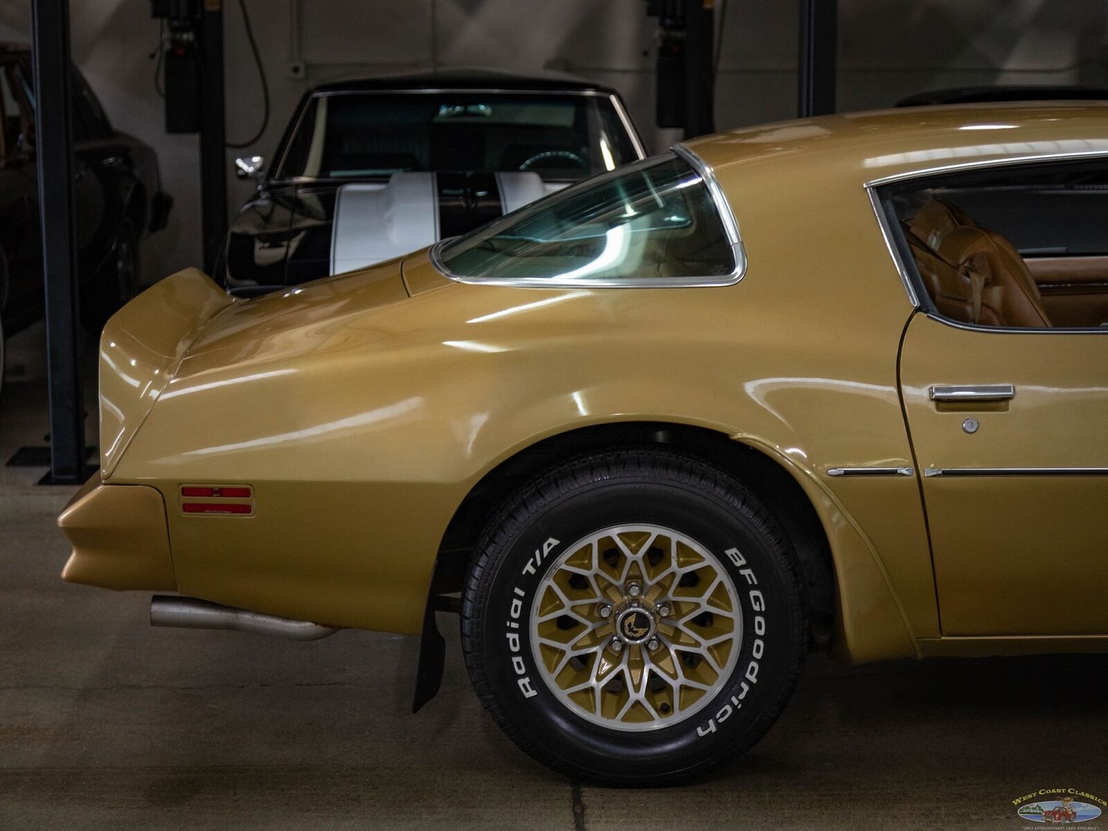 Pontiac-Trans-Am-1978-Gold-Gold-157095-1