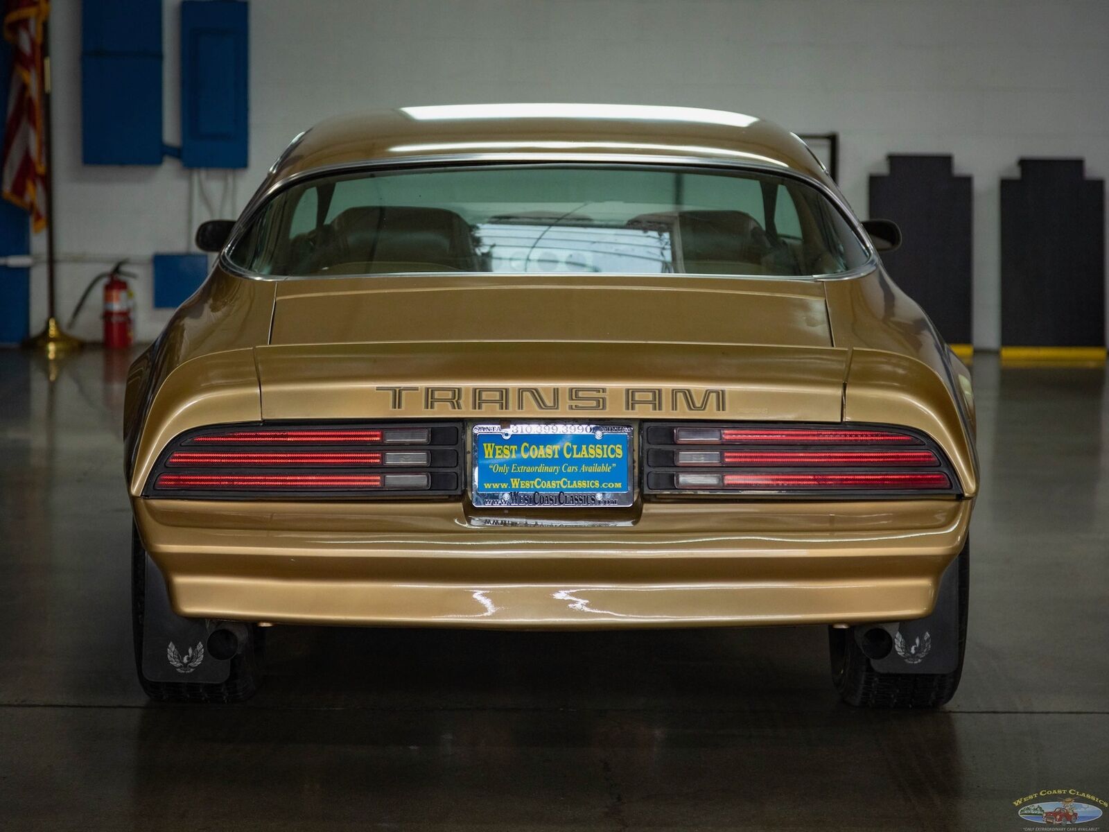 Pontiac-Trans-Am-1978-Gold-Gold-157095-15