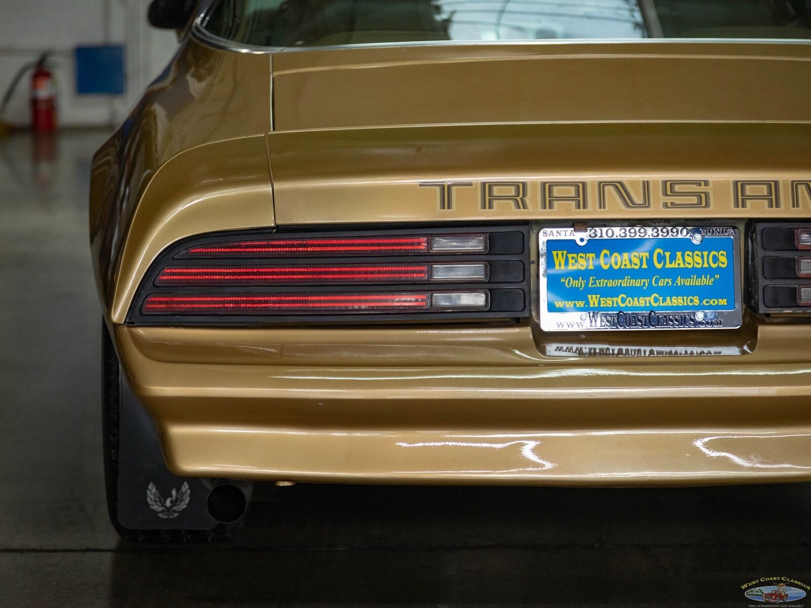 Pontiac-Trans-Am-1978-Gold-Gold-157095-16