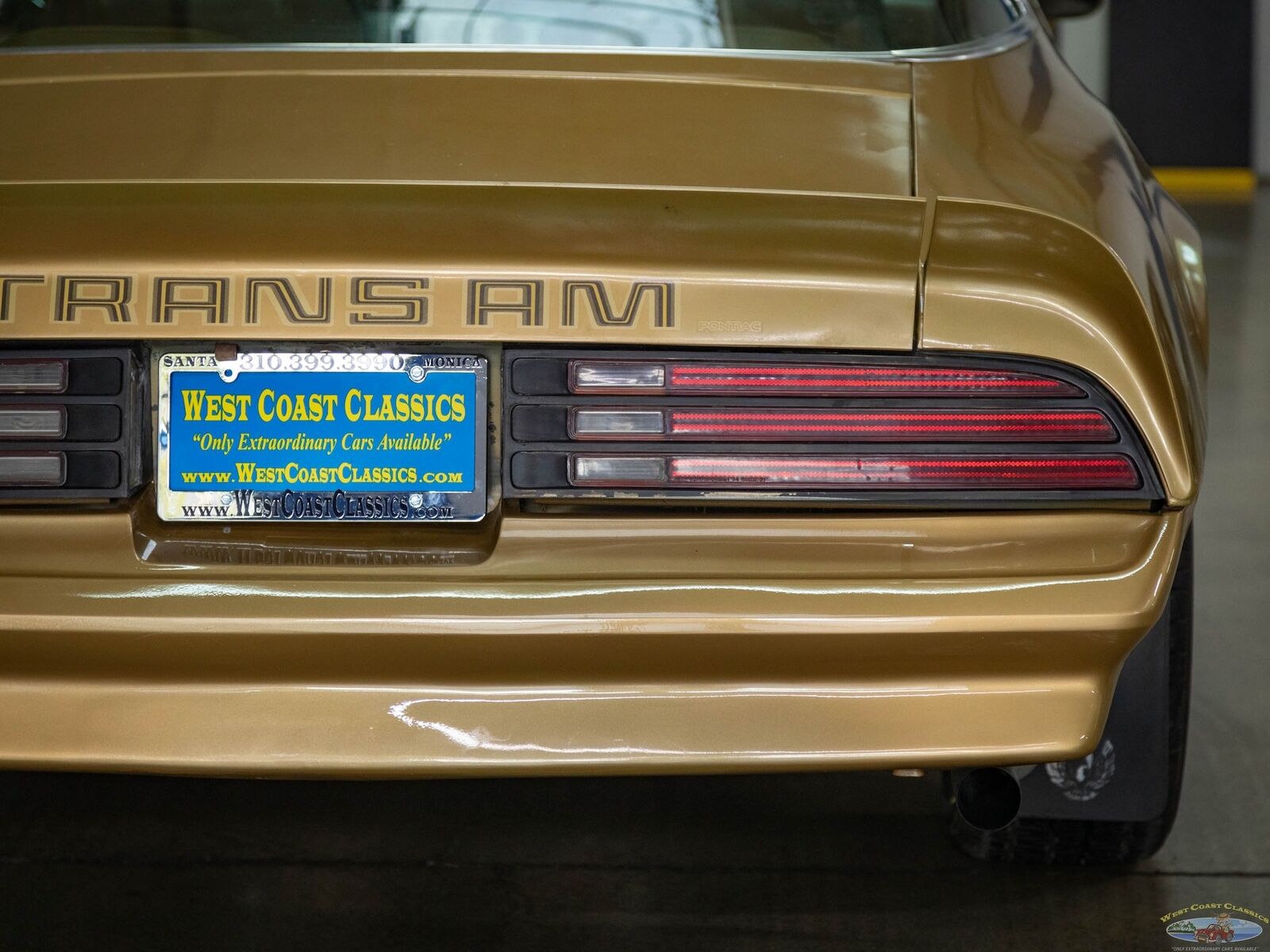 Pontiac-Trans-Am-1978-Gold-Gold-157095-17