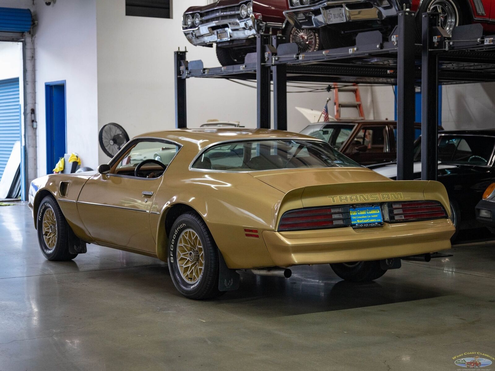 Pontiac-Trans-Am-1978-Gold-Gold-157095-18