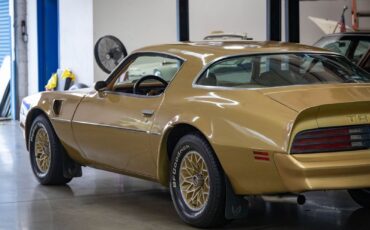 Pontiac-Trans-Am-1978-Gold-Gold-157095-19