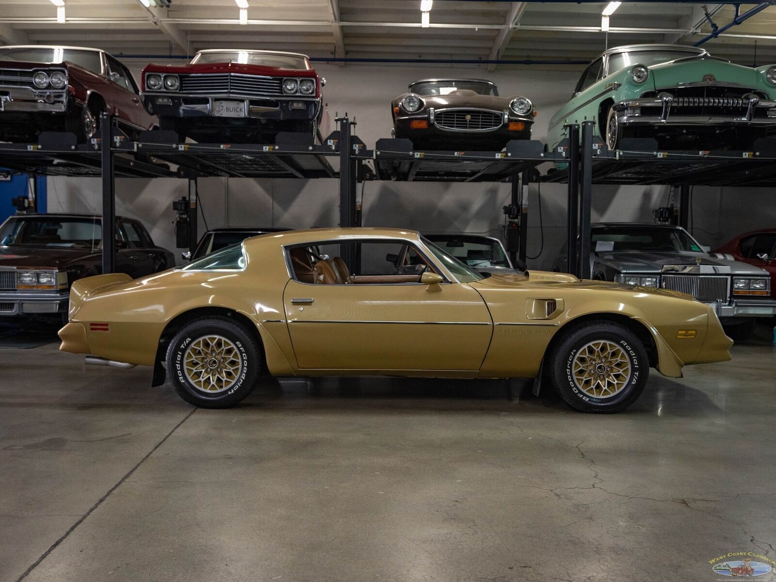 Pontiac-Trans-Am-1978-Gold-Gold-157095-2