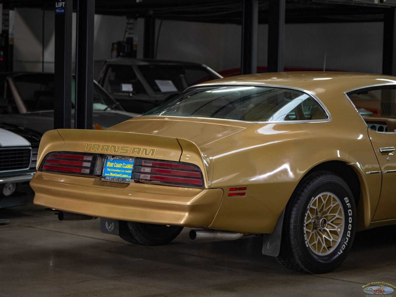 Pontiac-Trans-Am-1978-Gold-Gold-157095-22