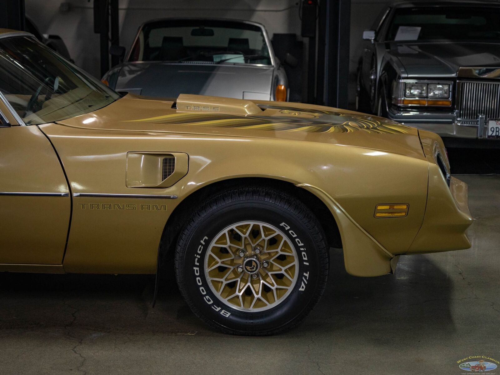 Pontiac-Trans-Am-1978-Gold-Gold-157095-3