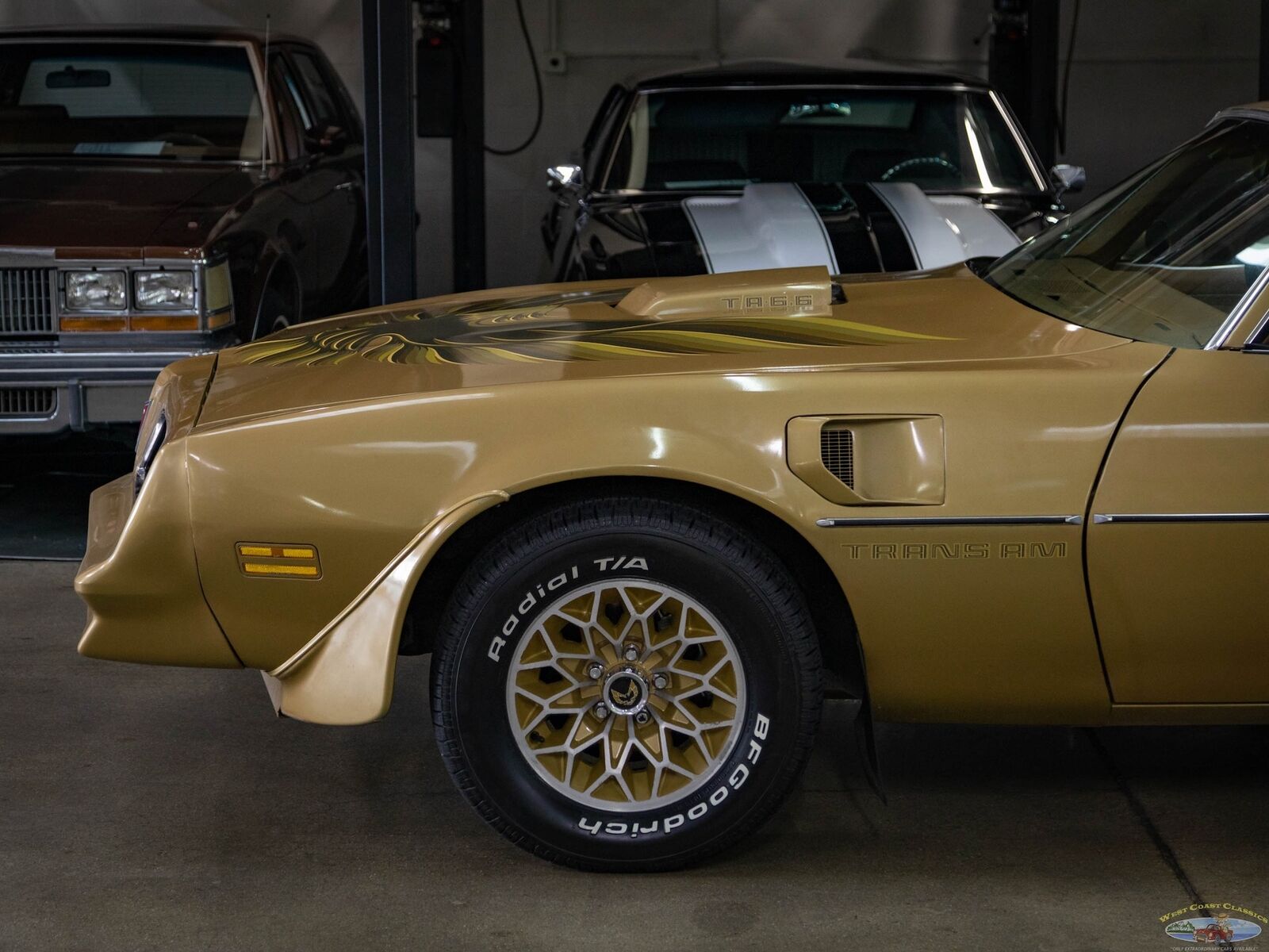 Pontiac-Trans-Am-1978-Gold-Gold-157095-4