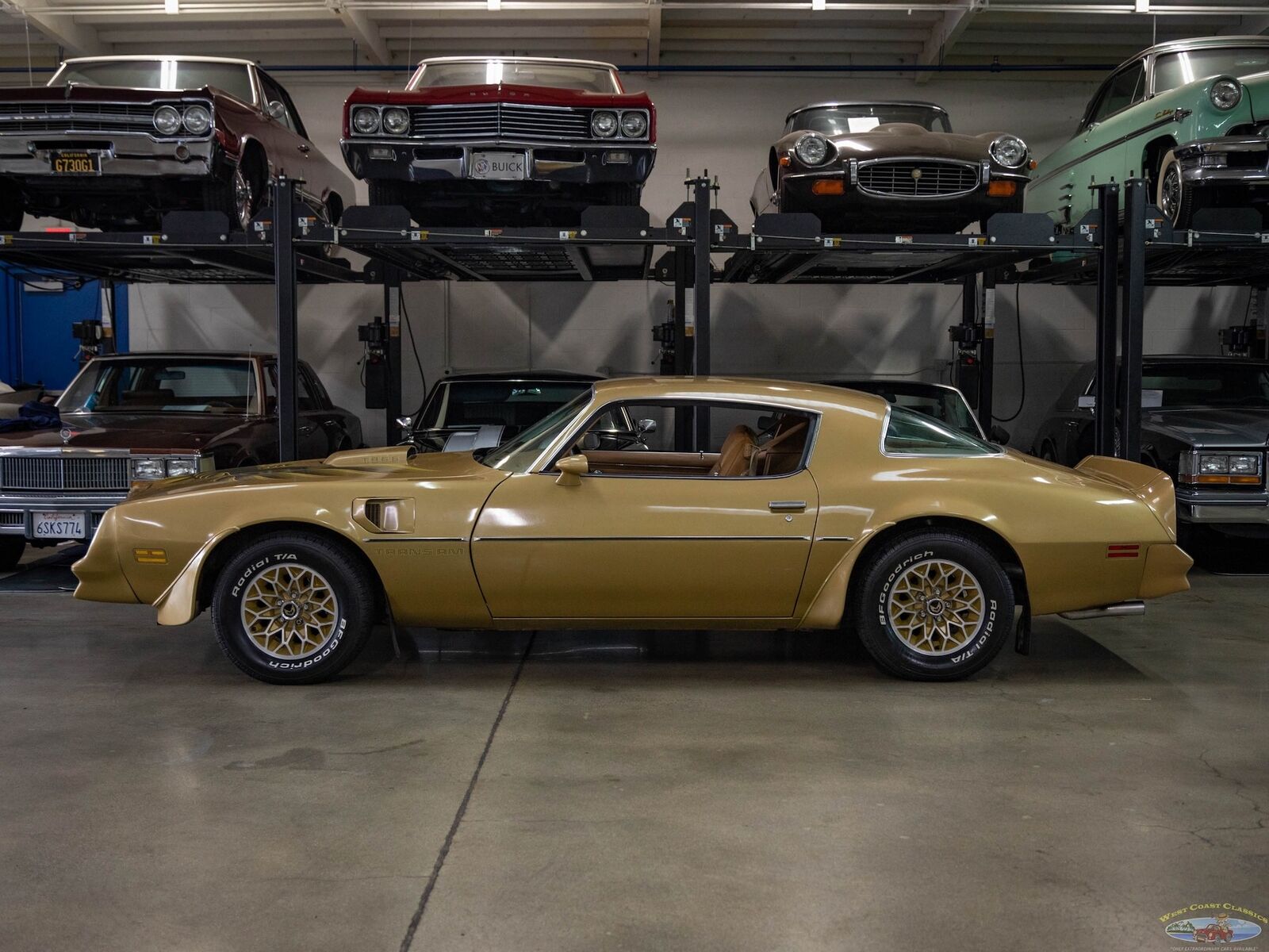 Pontiac-Trans-Am-1978-Gold-Gold-157095-5