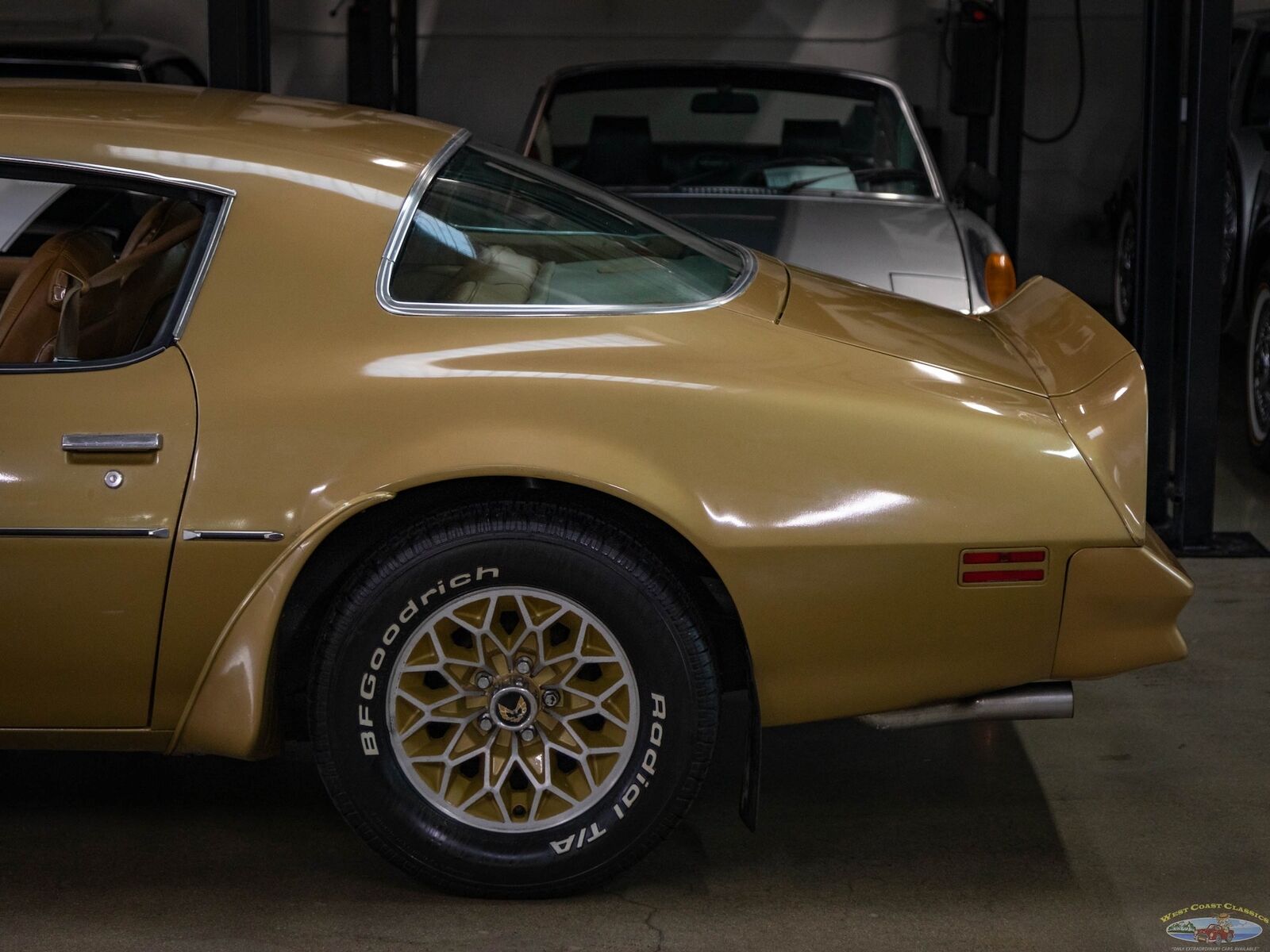 Pontiac-Trans-Am-1978-Gold-Gold-157095-6