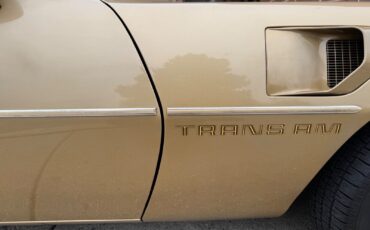 Pontiac-Trans-Am-1978-Gold-Tan-40855-10