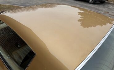 Pontiac-Trans-Am-1978-Gold-Tan-40855-12