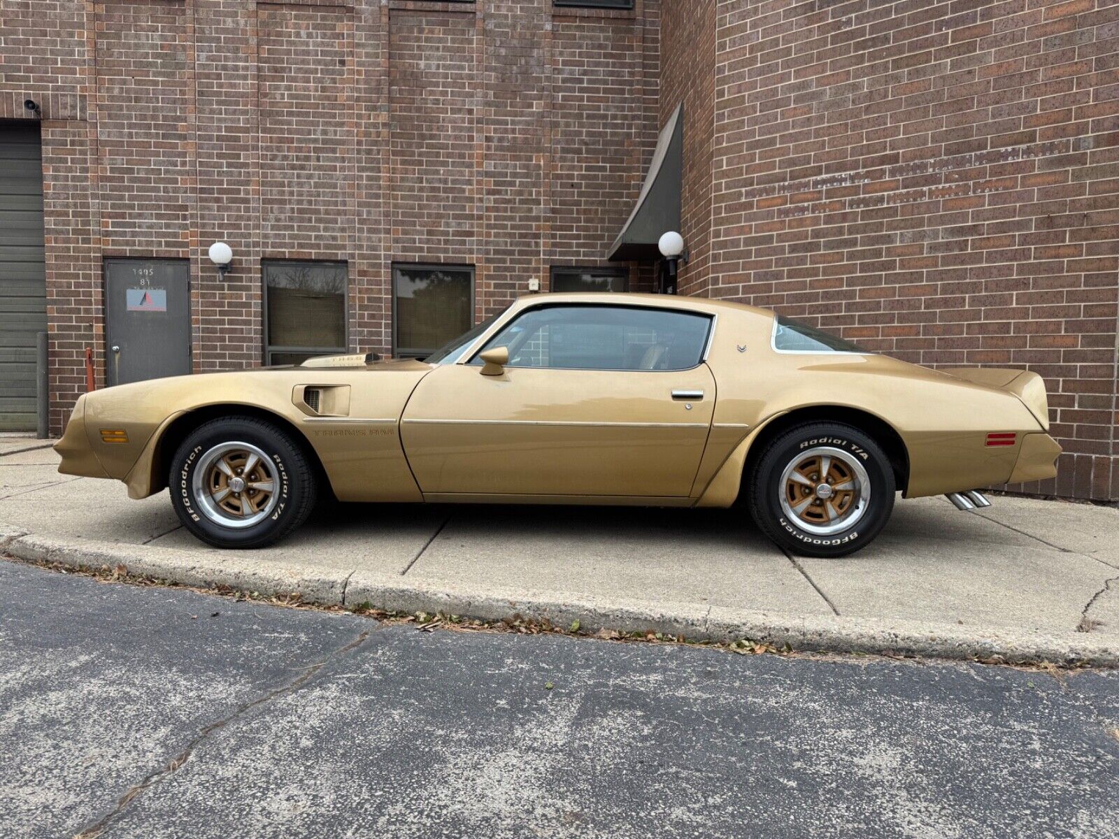 Pontiac-Trans-Am-1978-Gold-Tan-40855-2