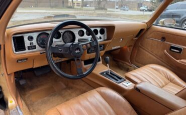 Pontiac-Trans-Am-1978-Gold-Tan-40855-23