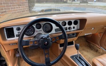 Pontiac-Trans-Am-1978-Gold-Tan-40855-24