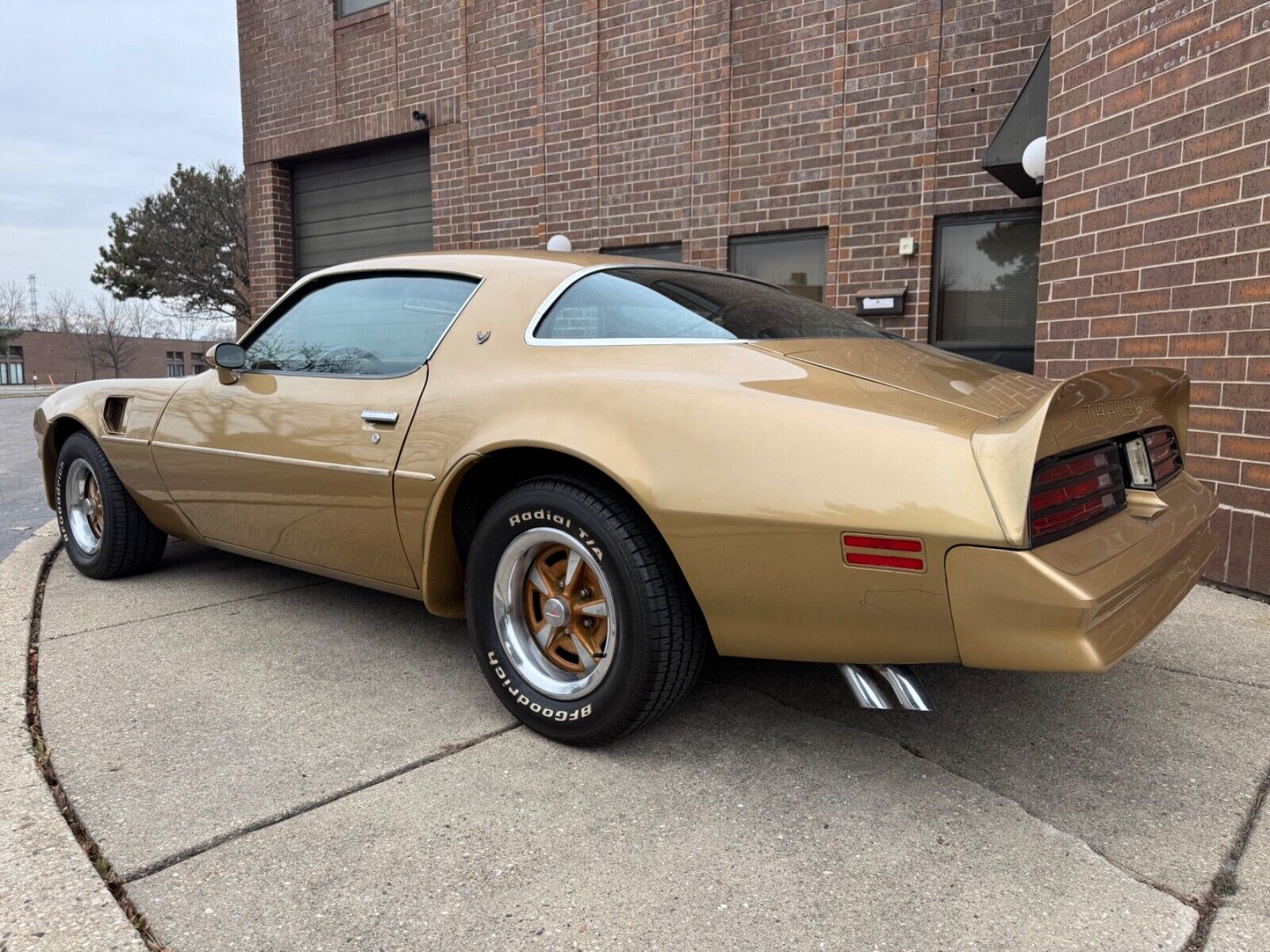 Pontiac-Trans-Am-1978-Gold-Tan-40855-3