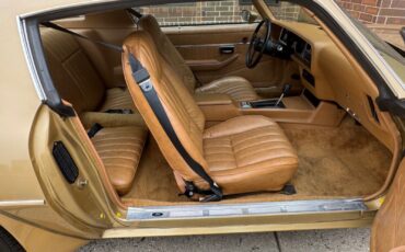 Pontiac-Trans-Am-1978-Gold-Tan-40855-30