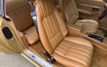 Pontiac-Trans-Am-1978-Gold-Tan-40855-31