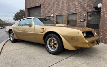 Pontiac-Trans-Am-1978-Gold-Tan-40855-6