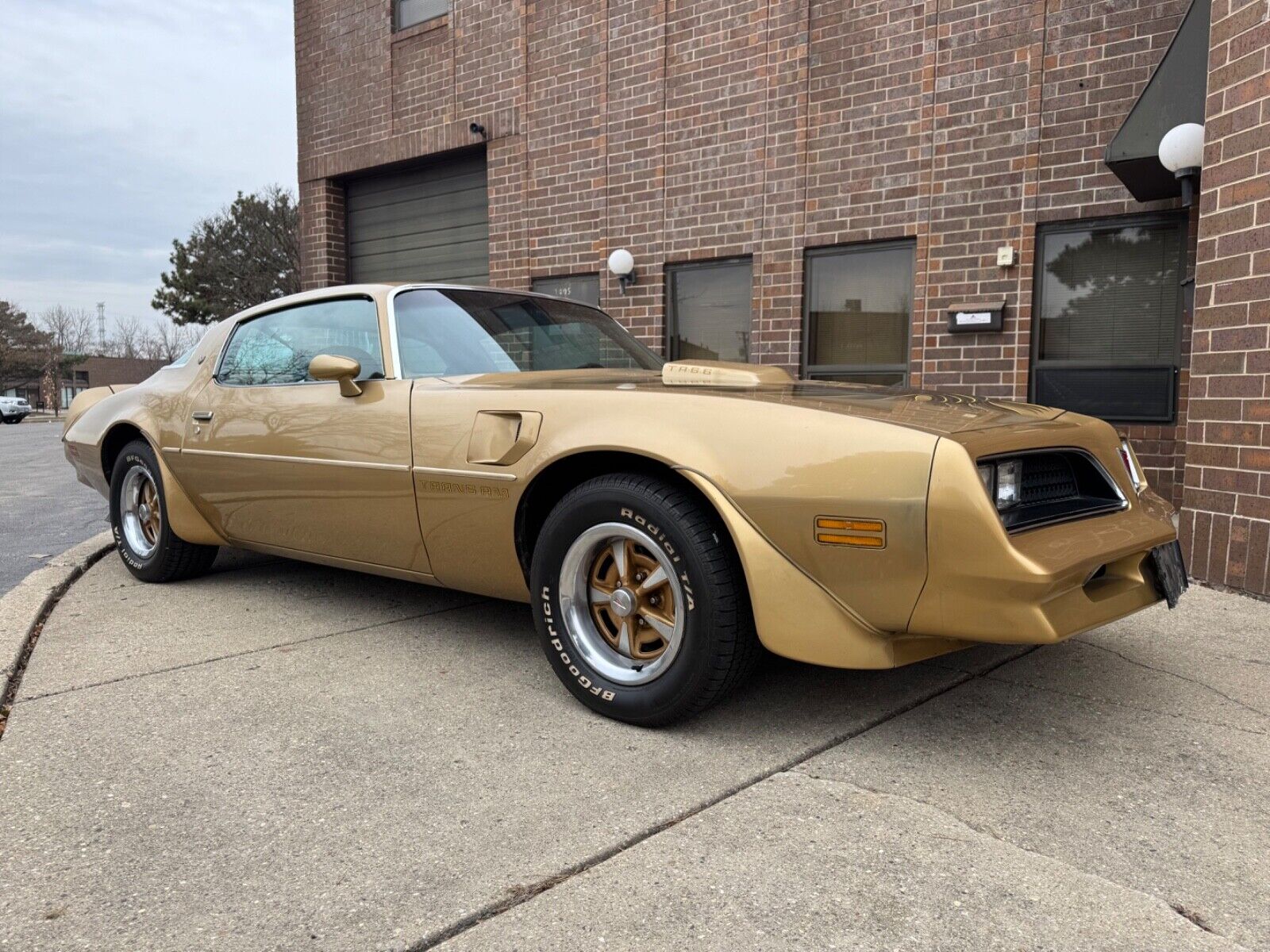 Pontiac-Trans-Am-1978-Gold-Tan-40855-6