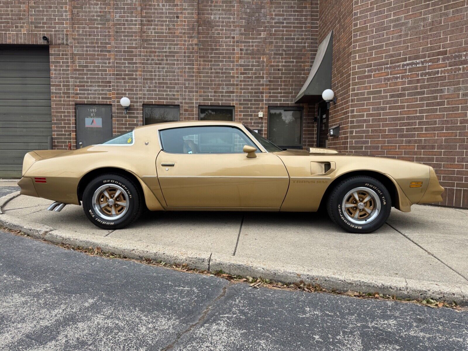 Pontiac-Trans-Am-1978-Gold-Tan-40855-7