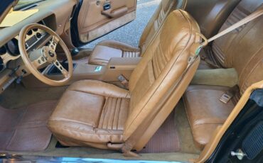 Pontiac-Trans-Am-1979-Black-Tan-483-15