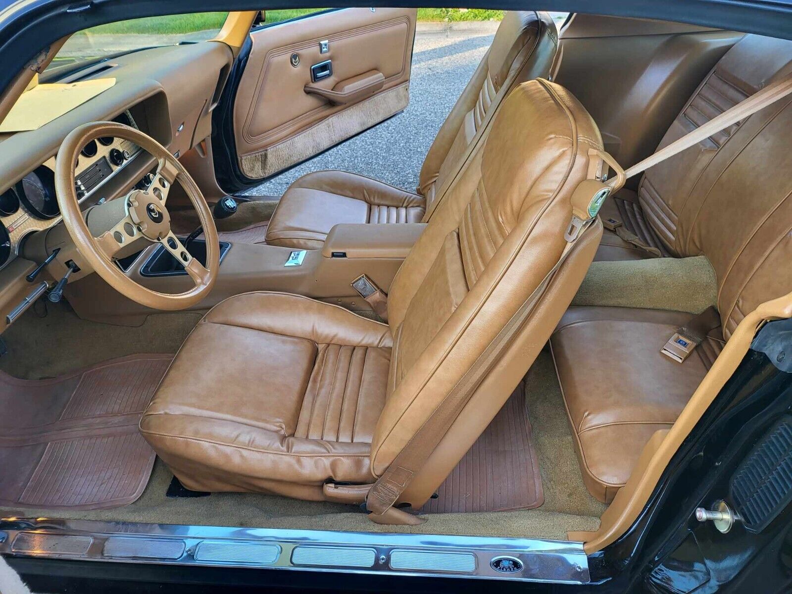 Pontiac-Trans-Am-1979-Black-Tan-483-15