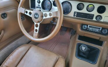 Pontiac-Trans-Am-1979-Black-Tan-483-18