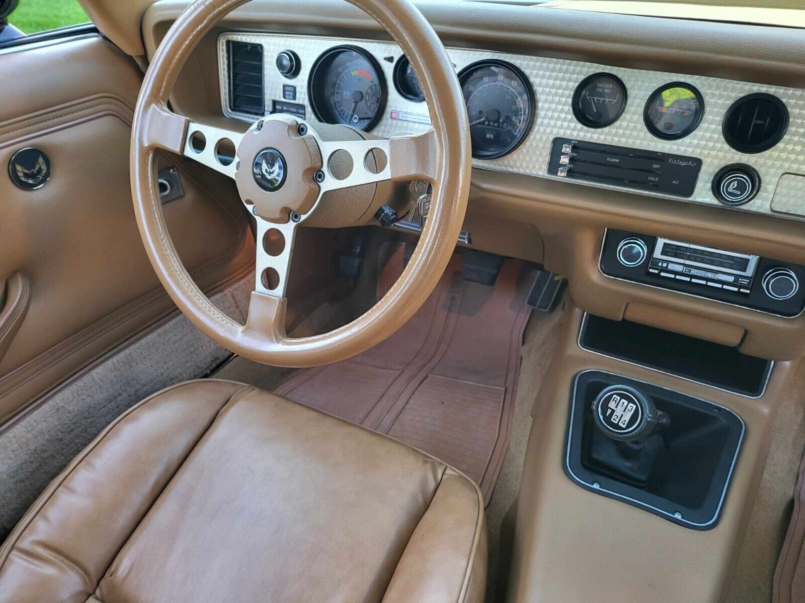 Pontiac-Trans-Am-1979-Black-Tan-483-18