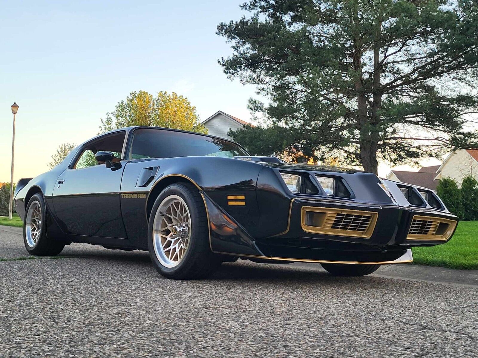 Pontiac Trans Am  1979 à vendre