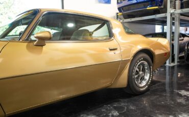 Pontiac-Trans-Am-1979-Gold-Tan-8063-13