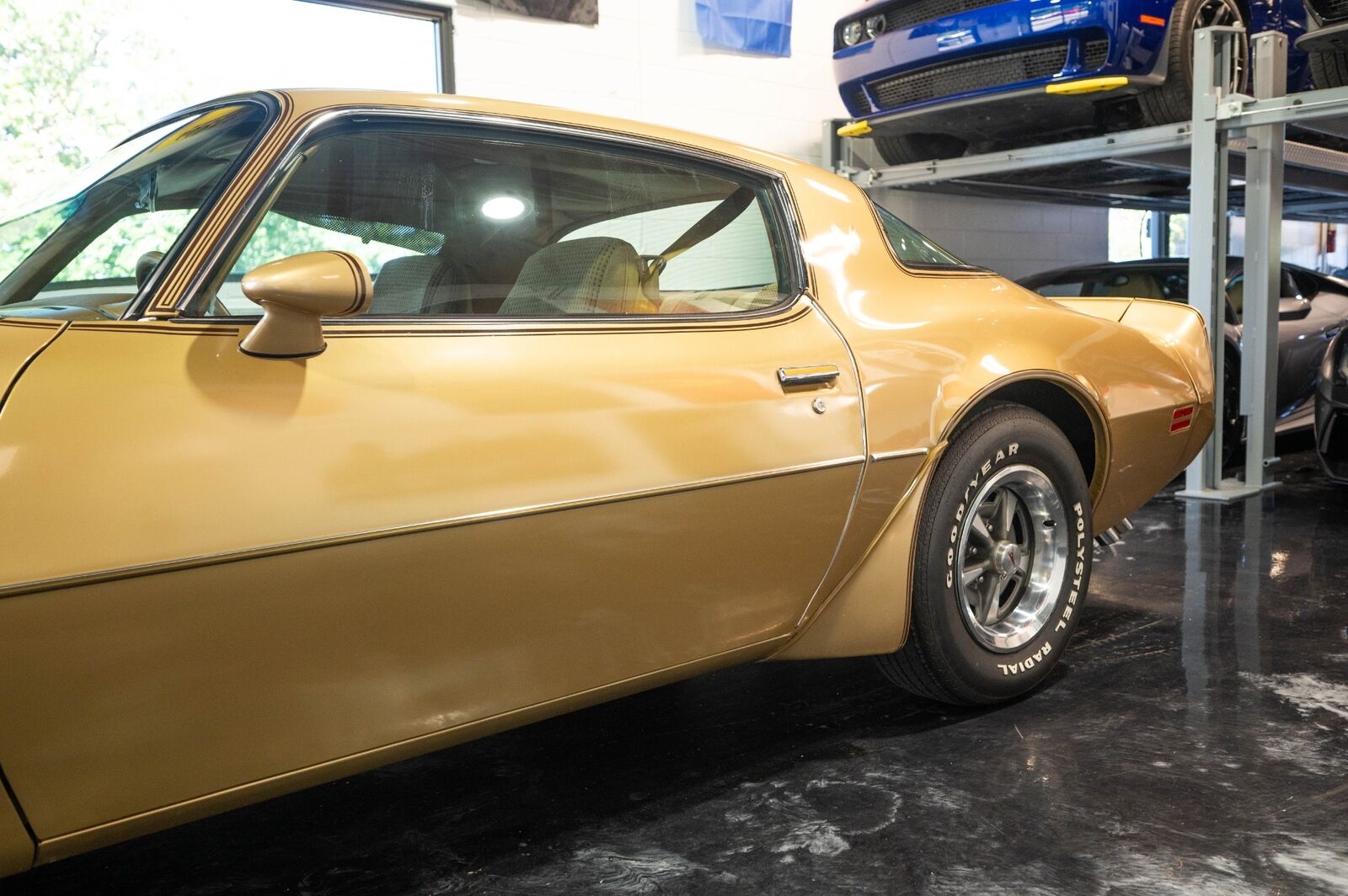 Pontiac-Trans-Am-1979-Gold-Tan-8063-13