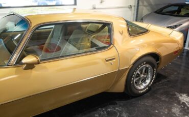 Pontiac-Trans-Am-1979-Gold-Tan-8063-14