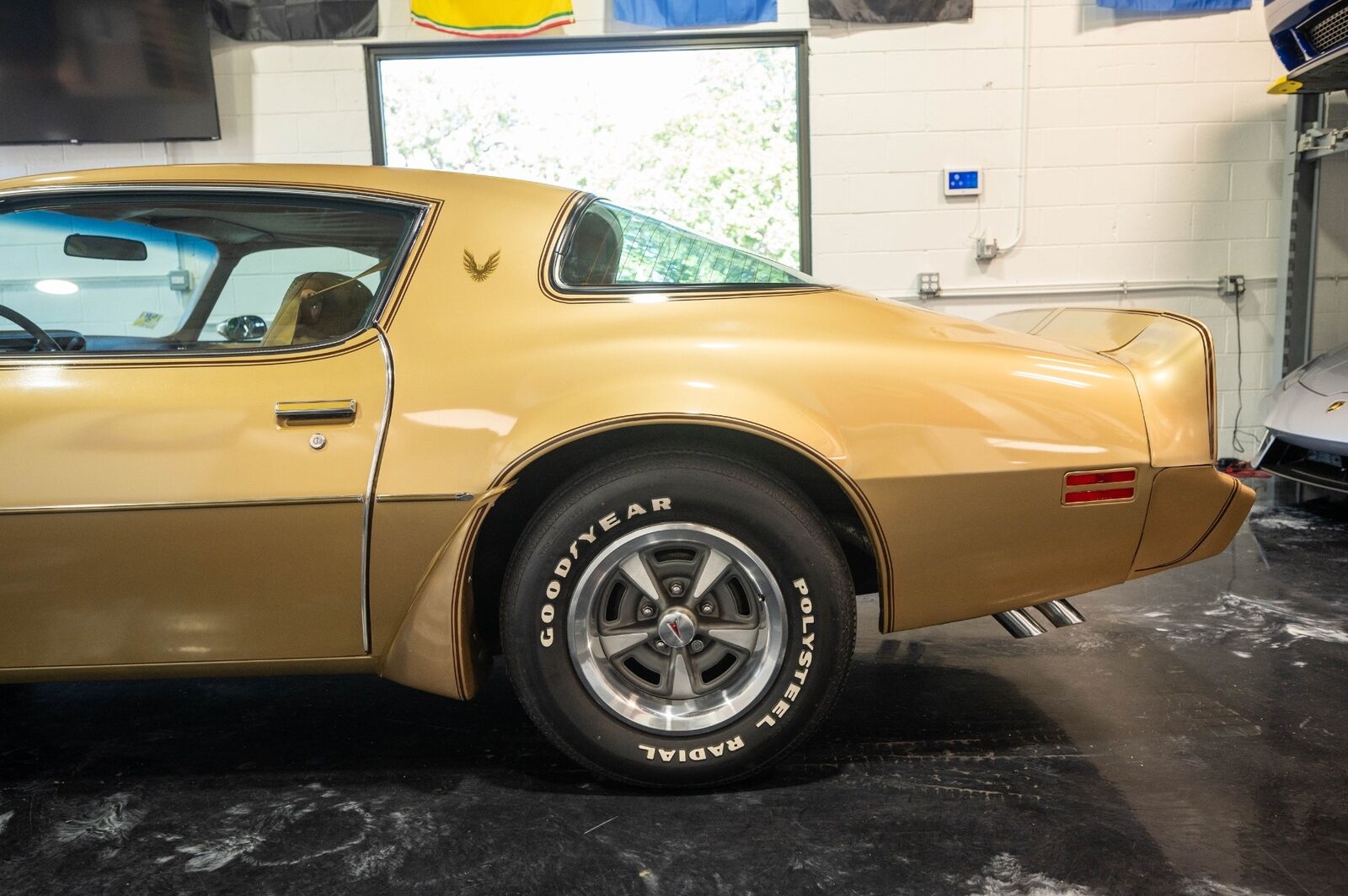 Pontiac-Trans-Am-1979-Gold-Tan-8063-15