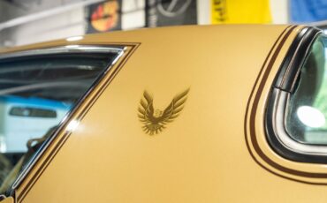 Pontiac-Trans-Am-1979-Gold-Tan-8063-17