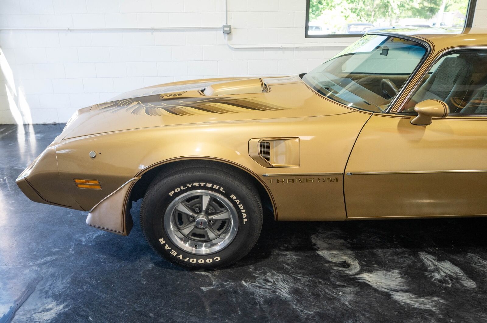 Pontiac-Trans-Am-1979-Gold-Tan-8063-2