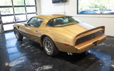 Pontiac-Trans-Am-1979-Gold-Tan-8063-21