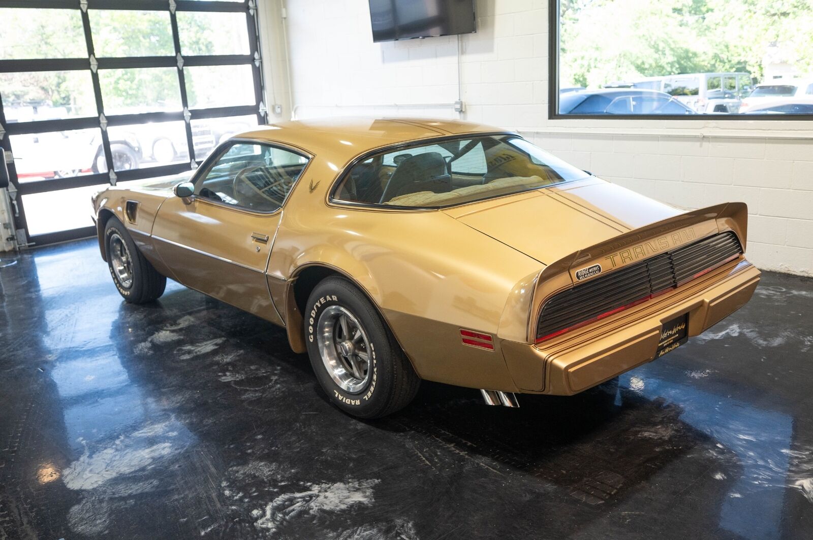 Pontiac-Trans-Am-1979-Gold-Tan-8063-21