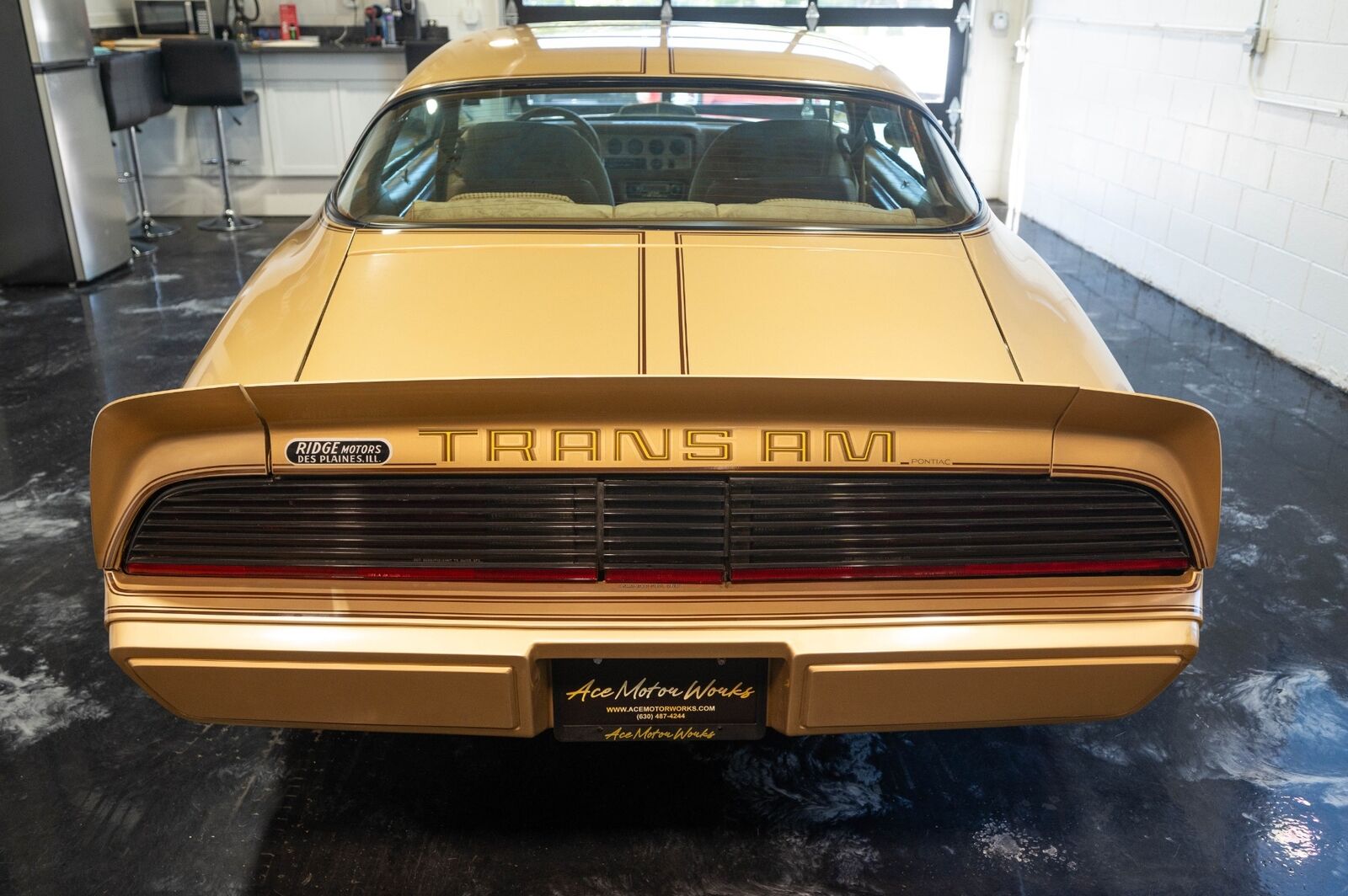 Pontiac-Trans-Am-1979-Gold-Tan-8063-25